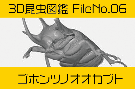 File No 06　ゴホンツノカブト-3Dスキャン