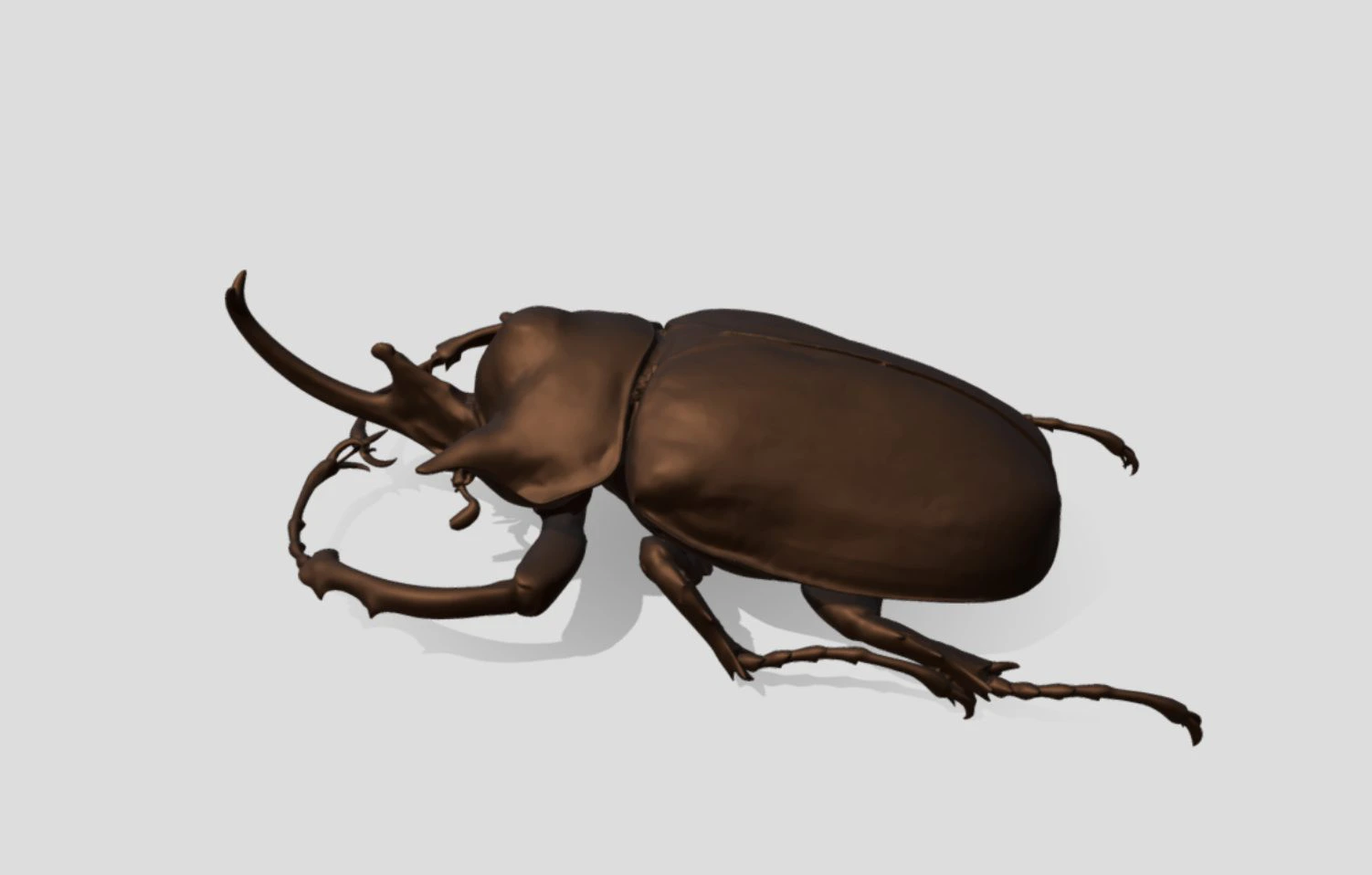 昆虫 一覧 | 3Dデータ集 | 株式会社 原製作所